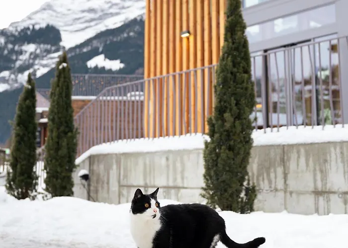 Hotel Eiger Chic Grindelwald