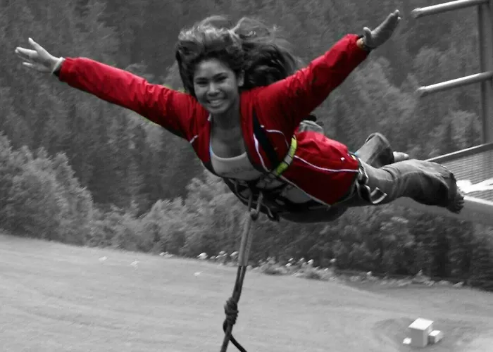 Eiger Chic מלון גרינדלוולד